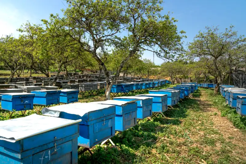 游戏开发工具光盘选型指南：资源制作与关卡编辑软件搭配方案封面图