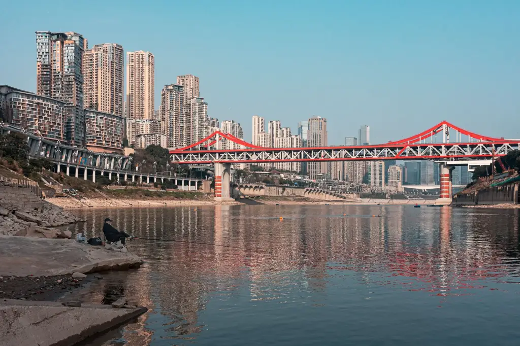 游戏引擎软件光盘选购指南：适配不同开发阶段的资源制作软件推荐