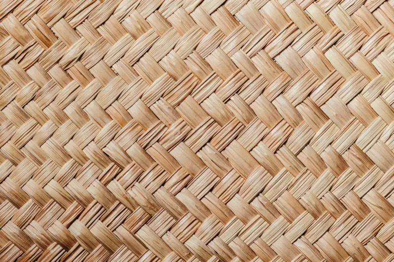 游戏开发工具光盘与引擎软件光盘的技术架构对比分析