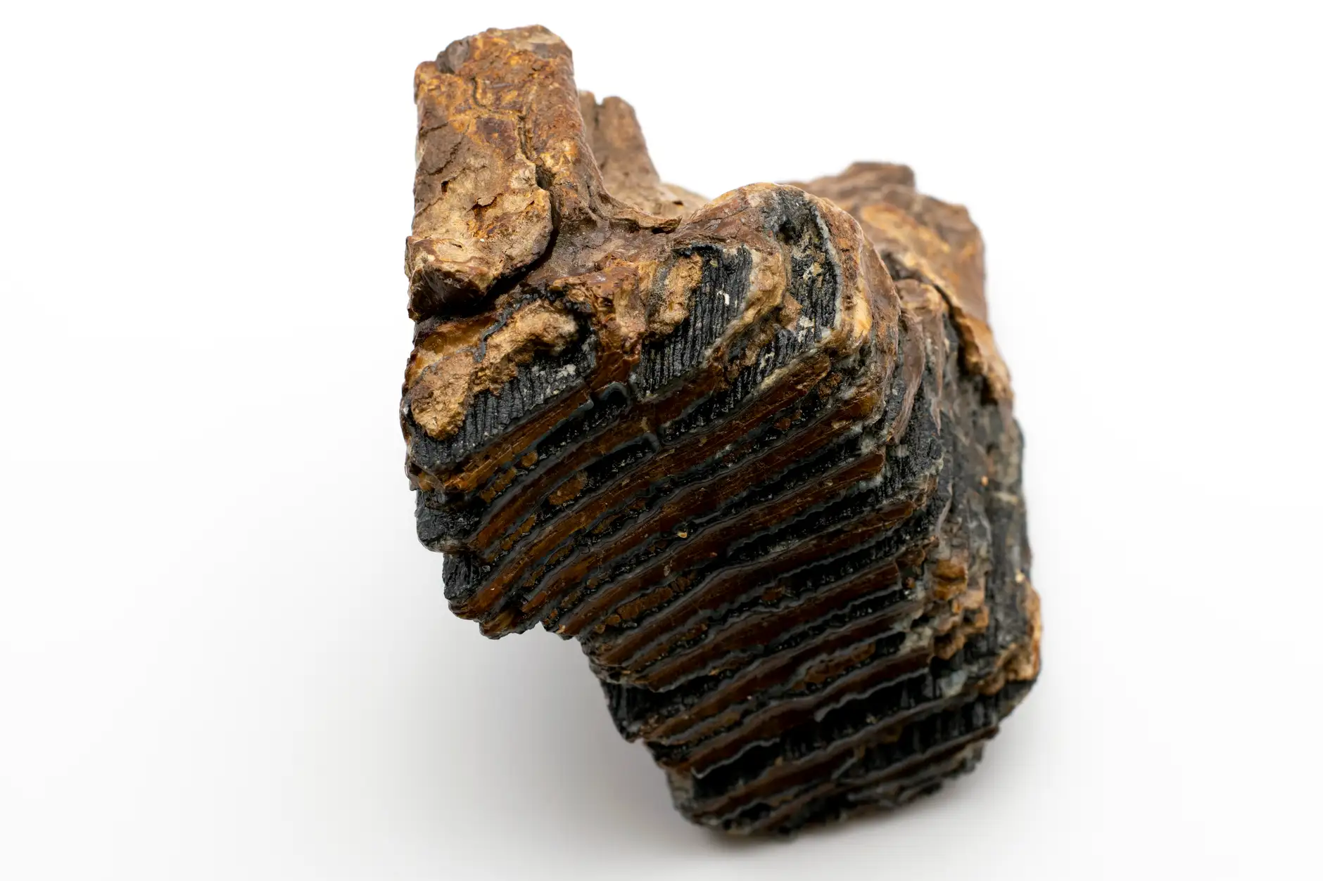 游戏开发工具光盘选型指南：引擎软件光盘与资源制作软件的功能对比分析
