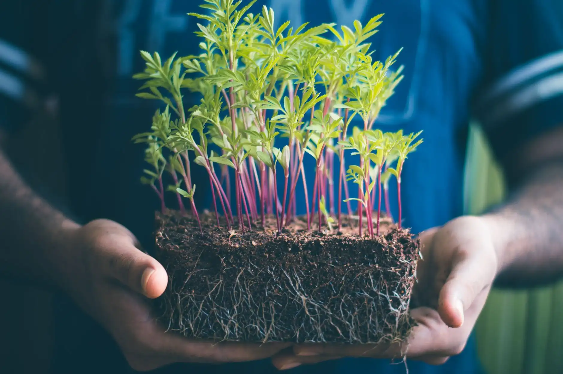 游戏开发工具光盘选型指南：从引擎软件到关卡编辑的完整方案封面图