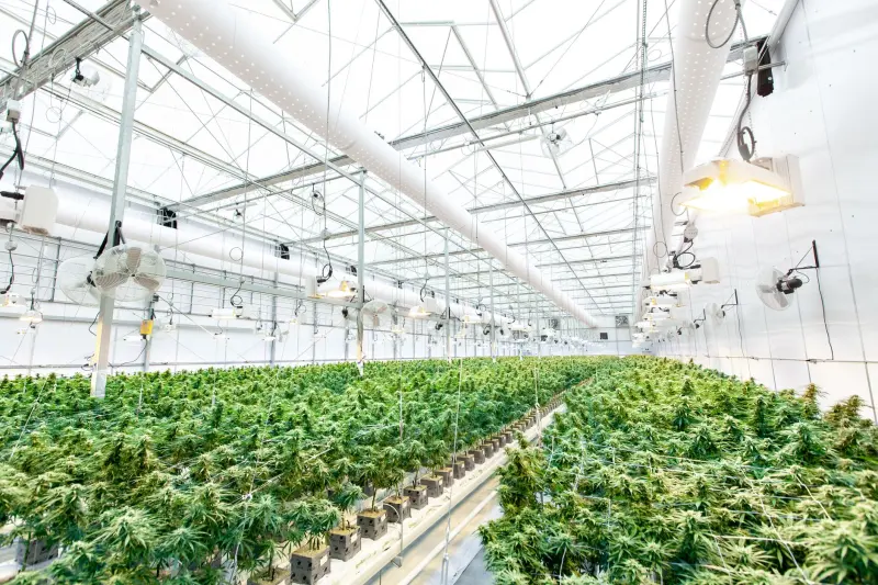 游戏开发工具光盘与云端引擎协同使用的技术要点解析