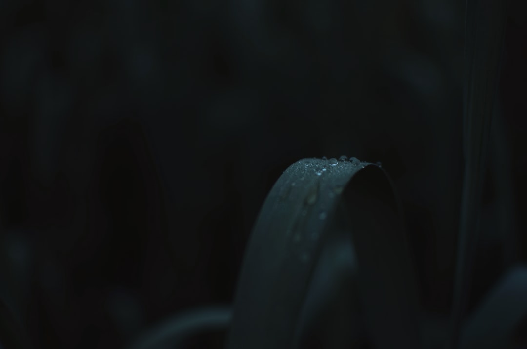 灿游科技特效制作软件在移动端游戏开发中的应用案例